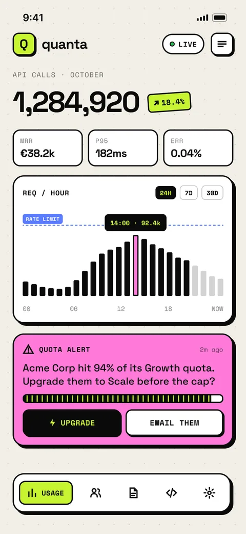 Quanta - API usage and billing analytics mobile app UI